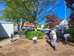 Arbeiten zur Verschönerung des Schulgeländes der Grundschule Astheim Auf dem Bild sind bei strahlendem Sonnenschein Kinder und Erwachsene zu sehen die ein größeres Stück AUßengelände des Außengeländes bearbeiten.