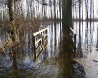 Brücke im Hochwasser