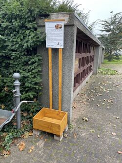 Blumenzwiebel Blumenzwiebel-Tauschkasten: Nachhaltigkeit für Gartenliebhaber und Insektenschützer