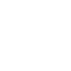 Logo Rheinfähre Landskrone GmbH