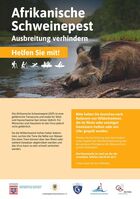 Auf diesem Bild sehen sie ein Wildschwein - Den Text entnehmen Sie bitte aus der Nachricht